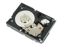 Dell - Harddisk - 1 TB - intern - 3.5" - SATA 6Gb/s - 7200 rpm - for PowerEdge T130 (3.5"), T30 (3.5"), T330 (3.5"), T430 (3.5") 400-AUPW