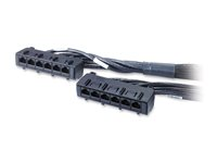 APC Data Distribution Cable - Nettverkskabel - TAA-samsvar - RJ-45 (hunn) til RJ-45 (hunn) - 4 m - UTP - CAT 6 - svart DDCC6-013