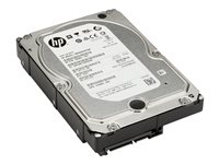 HP - Harddisk - 4 TB - intern - 3.5" - SATA 6Gb/s - 7200 rpm - buffer: 128 MB - for Workstation Z2 G4, Z2 G5, Z2 G8, Z2 G9, Z4 G4, Z4 G5, Z6 G4, Z8 G4, Z8 G5; ZCentral 4R K4T76AA