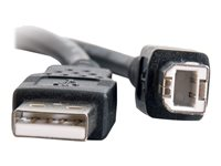 C2G 6.6ft USB A to USB B Cable - USB A to B Cable - USB 2.0 - Black - M/M - USB-kabel - USB (hann) til USB-type B (hann) - USB 2.0 - 2 m - svart 28102