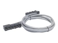 APC Data Distribution Cable - Nettverkskabel - TAA-samsvar - RJ-45 (hunn) til RJ-45 (hunn) - 10.7 m - UTP - CAT 5e - grå DDCC5E-035