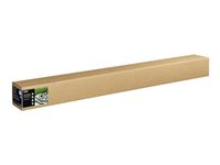 Epson Fine Art II - Bomull - strukturert matt - 400 mikroner - naturlig hvitt - Rull (162,6 cm x 15 m) - 300 g/m² - 1 rull(er) boks - klutepapir C13S450280NQ
