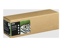 Epson Fine Art II - Bomull - matt - 490 mikroner - jevn klarhet - Rull (43,2 cm x 15 m) - 300 g/m² - 1 rull(er) boks - klutepapir C13S450270NQ