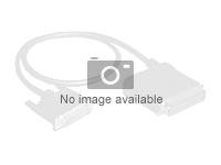 Fujitsu - SAS ekstern kabel - 26-pin 4x Shielded Mini MultiLane SAS (SFF-8088) til 26-pin 4x Shielded Mini MultiLane SAS (SFF-8088) - 4 m - for P/N: S26361-K1228-V100 S26361-F3246-L402