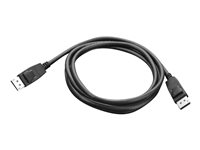 Lenovo - DisplayPort-kabel - DisplayPort (hann) til DisplayPort (hann) - 1.8 m - for ThinkCentre M75t Gen 2; M80s Gen 3; M90a Gen 3; M90q Gen 2; M90t Gen 3; ThinkCentre neo 70 0A36537